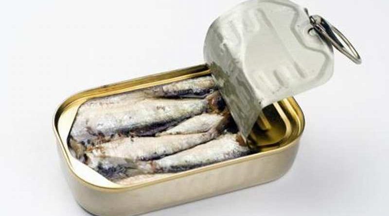 sardinas