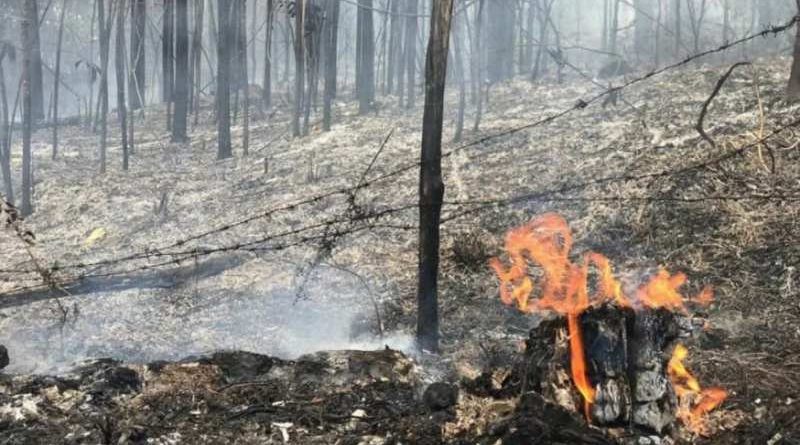 incendio forestal